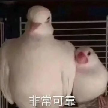 【直播预告】游戏最新进度汇报！你关心的都在这~