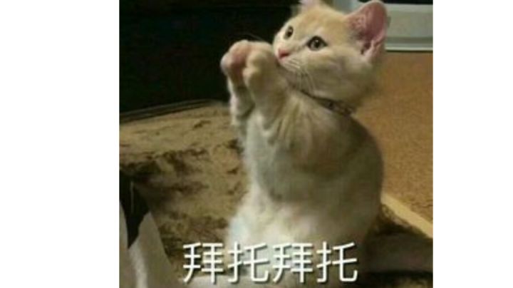 求大佬指点一下怎么办截图