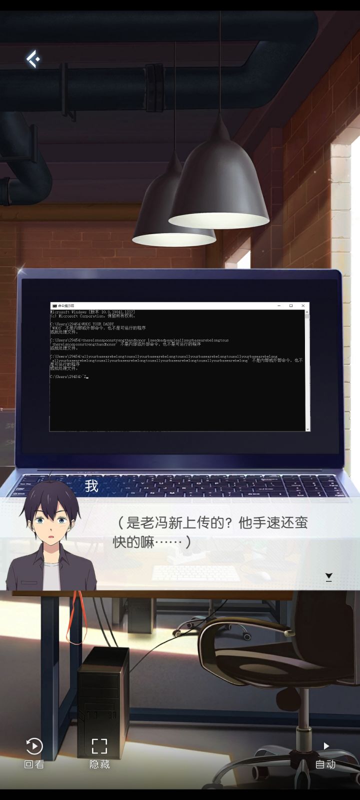 怎么会有程序员夹带私货啊截图