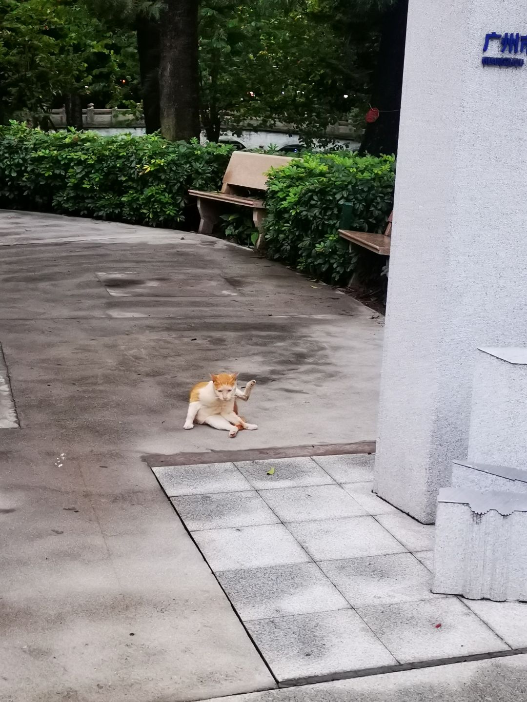 论坛打卡第七天 2