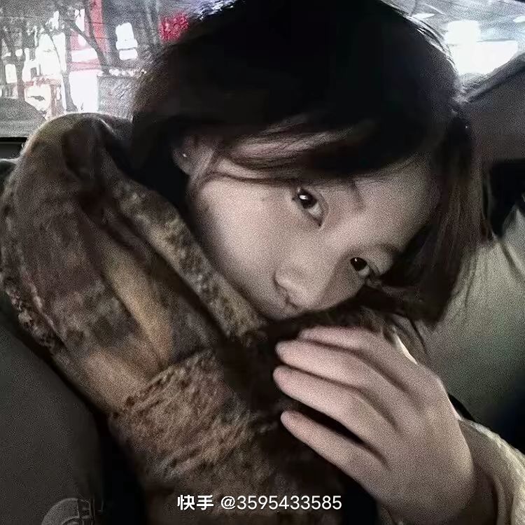 动态图片 3