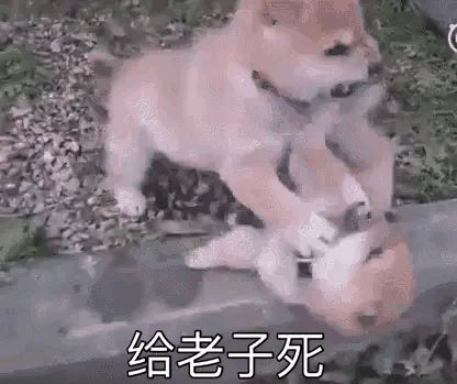 有个有意思的想法不知道可不可行截图