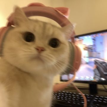 【蚀月·噬蛛x法师】新木魔王群秘境152层出装推荐2025.10.22