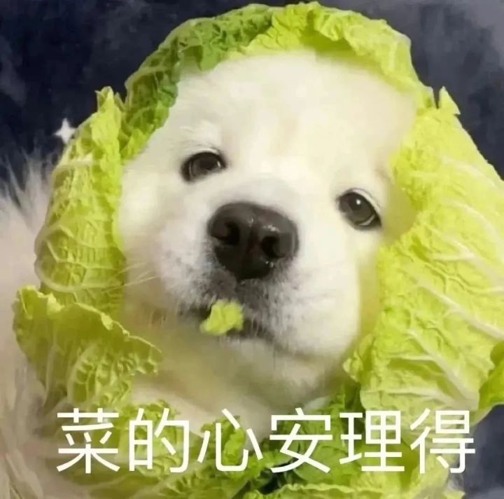 天顶开荒有人没截图