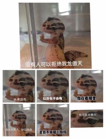 ૮₍˶•ᴗ•˶₎ა