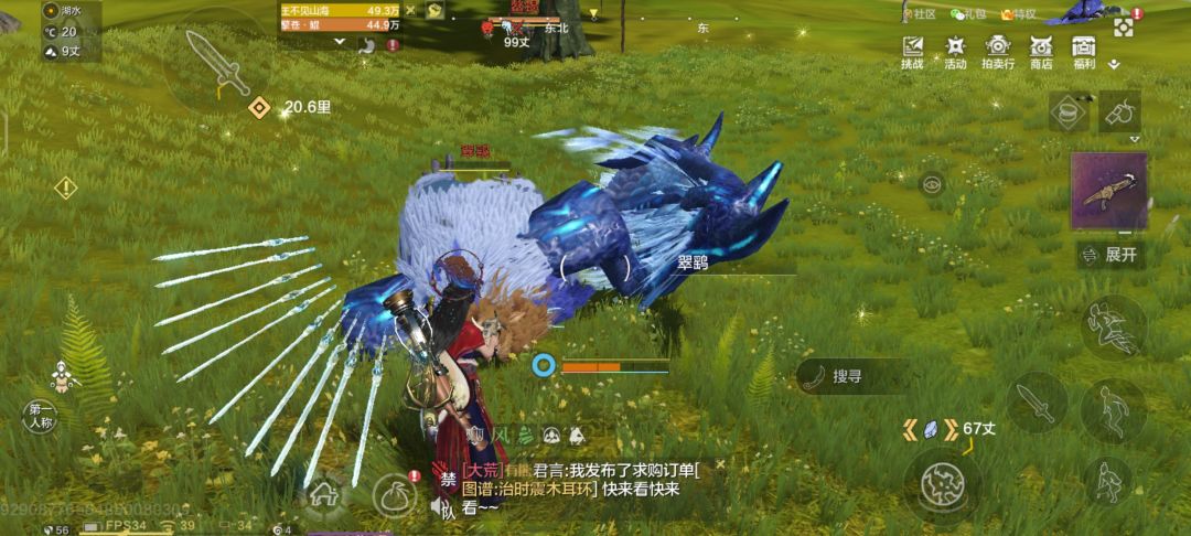 这个是什么翅膀 2