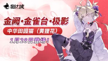 时装上新| 金阙-金雀台·极影