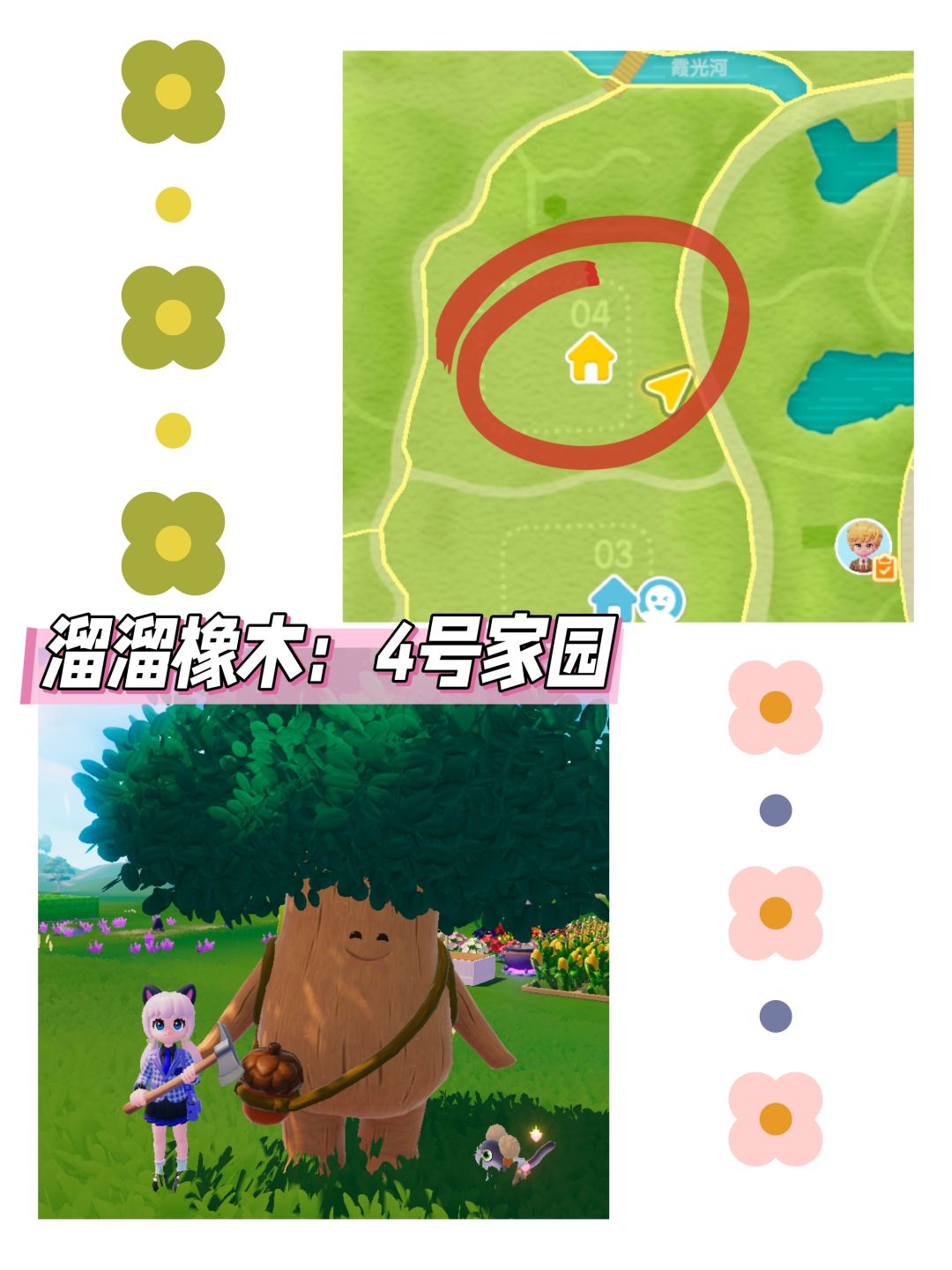 心动小镇日报(11.24)溜溜橡木＋无暇萤石 3