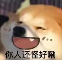 天外飞仙交流群 2