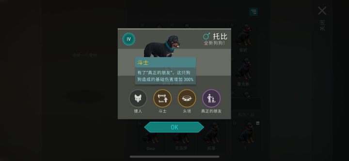 柯基毕业了截图