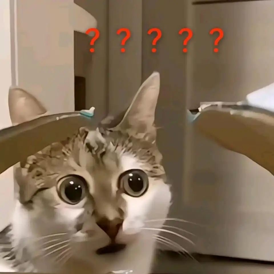 冰刀和乾坤不能同时出引导吗? 1