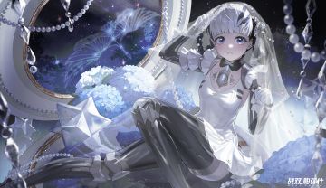 ◆邦比娜塔 启动日快乐◆