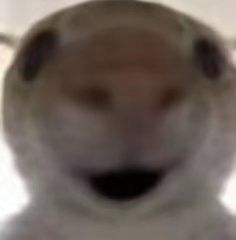 组队差三个 2
