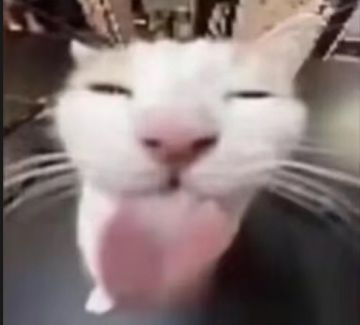 锐评一手弹幕扫射