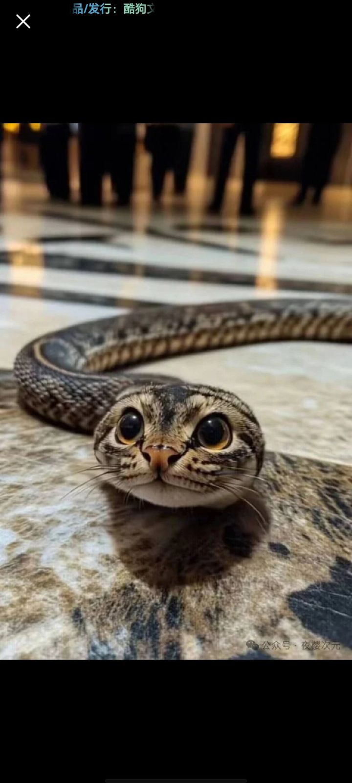 萌新求问截图