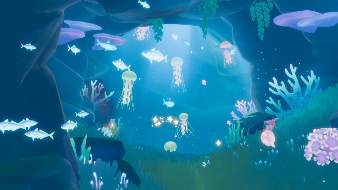 海底照片 3