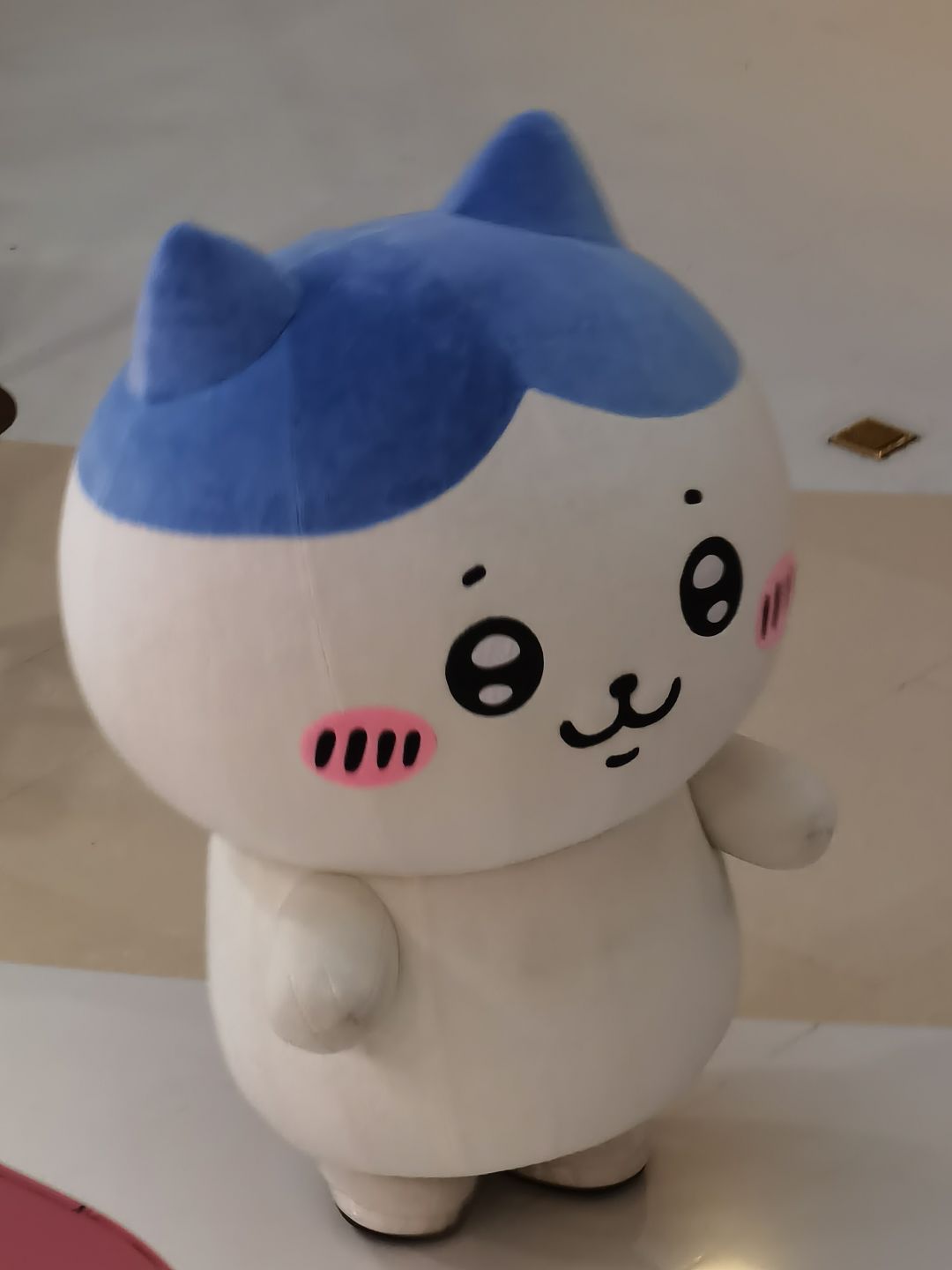 合生汇的Chiikawa活动很可爱哦 1