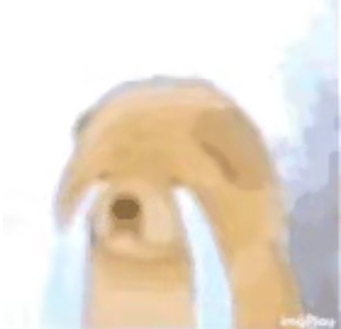 饿死无数次 2