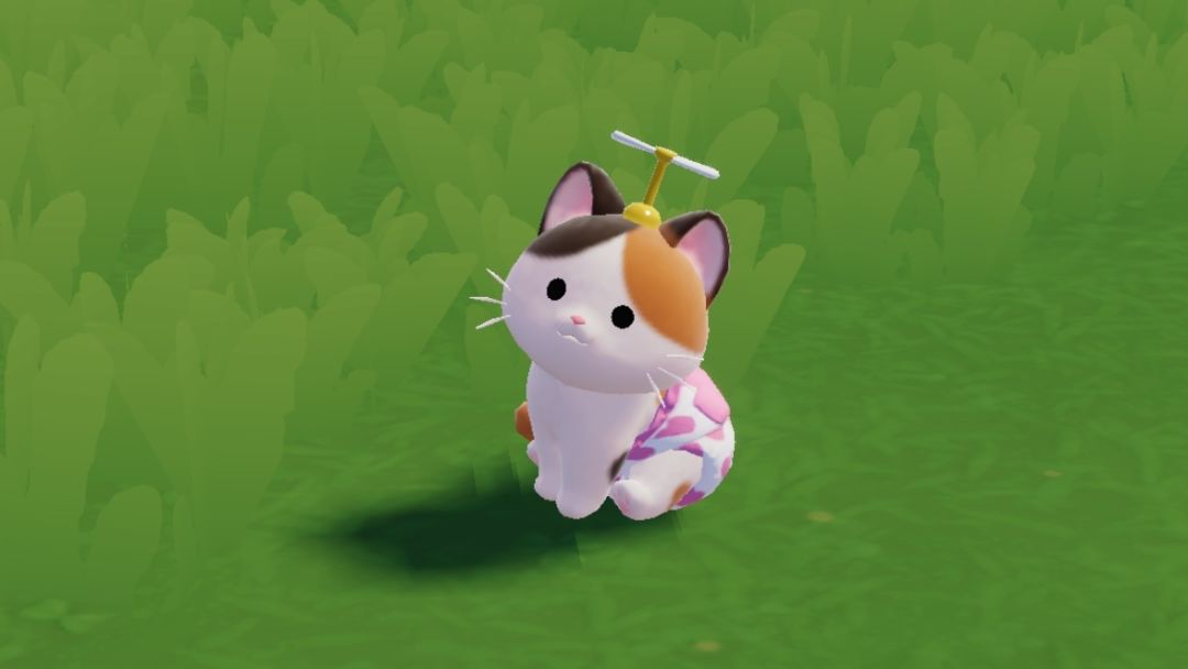 今天刷到的可爱咪咪(づ ̄ ³ ̄)づ🐱 2