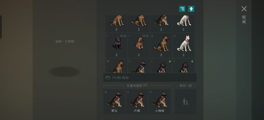 这对吗苟开 1