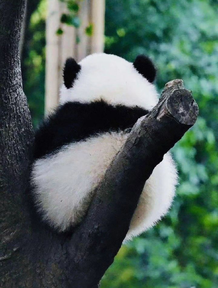 不开新区就快入土了截图