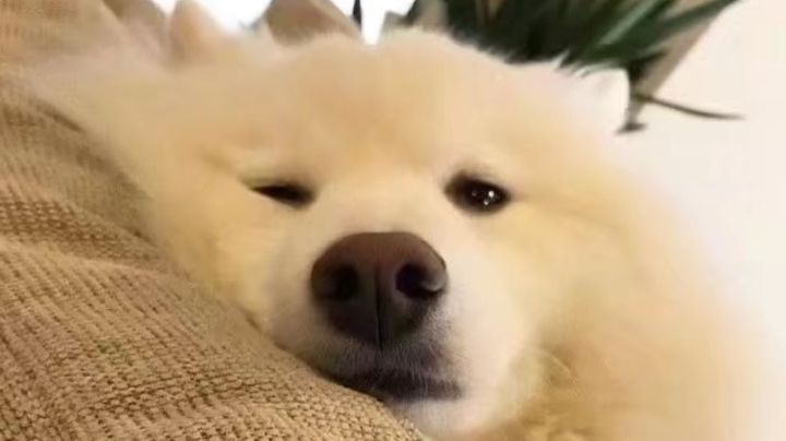 求教大佬。截图