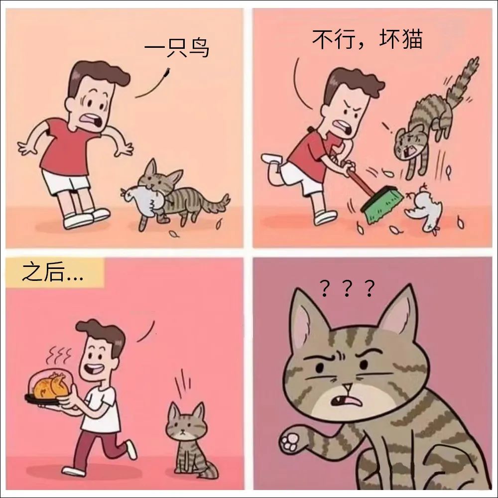 等待开启“团队歼灭”模式。 6