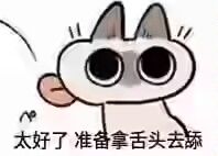 【开发者日志】04 一些闲聊 1