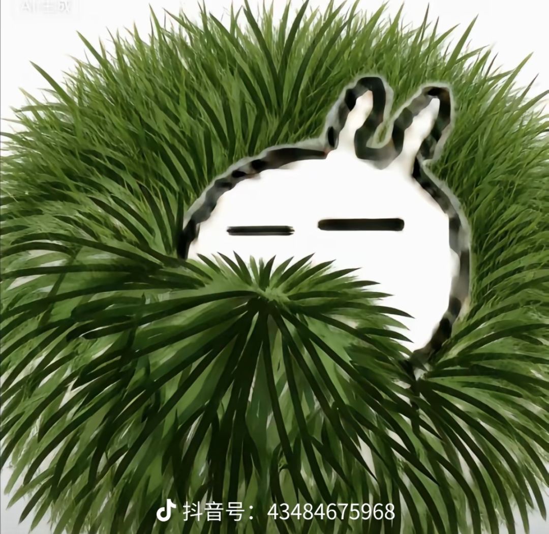 女巫之釜的效果没有护盾能吃到吗? 1