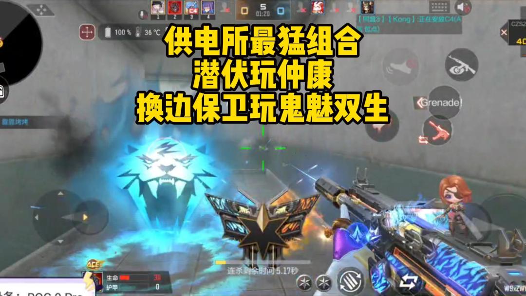 video-4881438