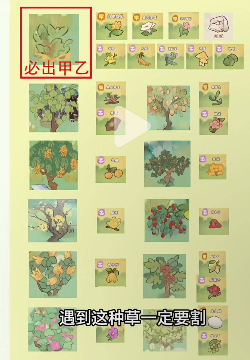 赶山物品攻略 3