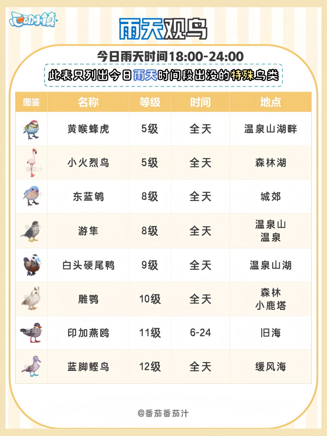 9月2日 下雨天必做攻略 7