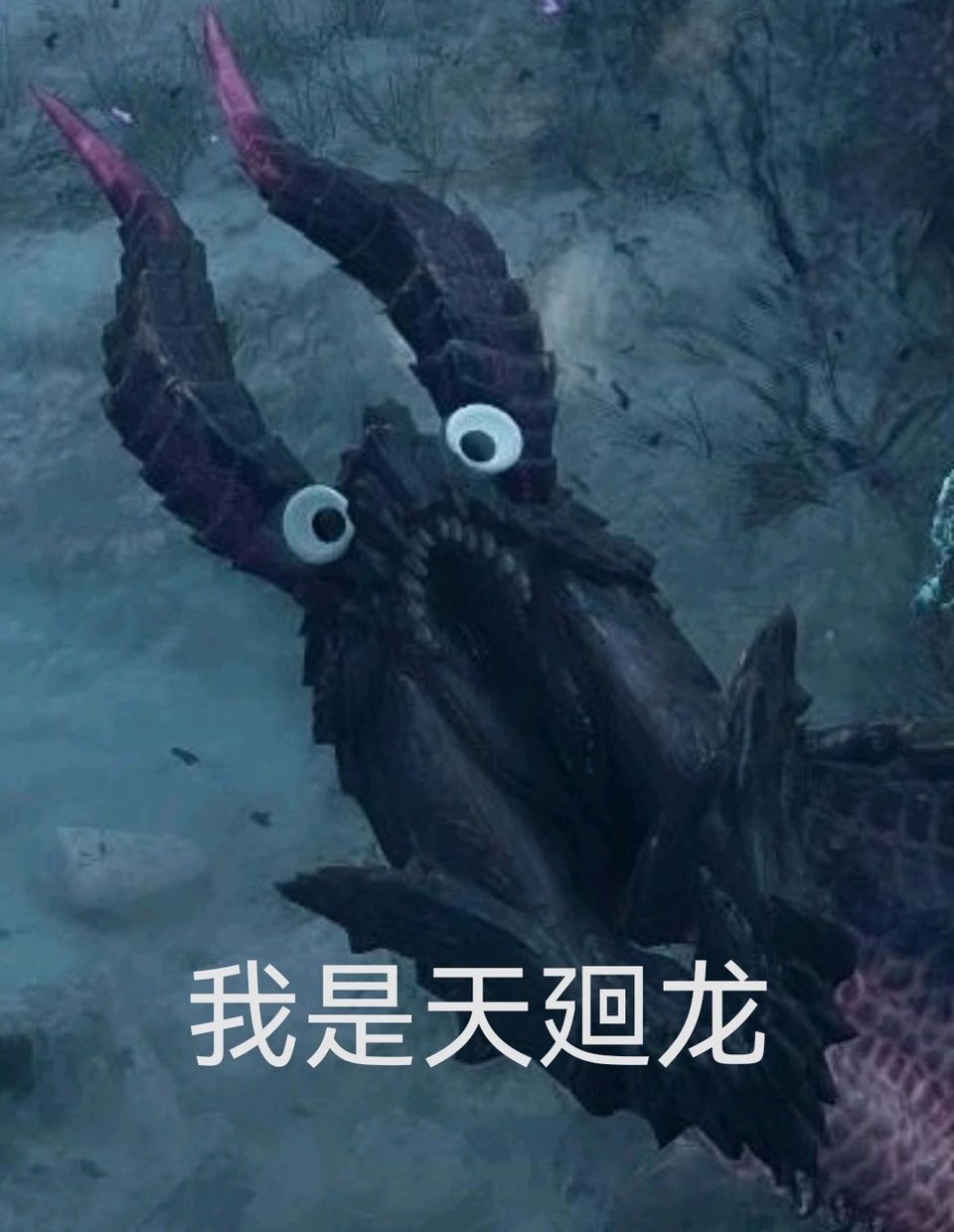 原来我已经玩了这么久了啊 2
