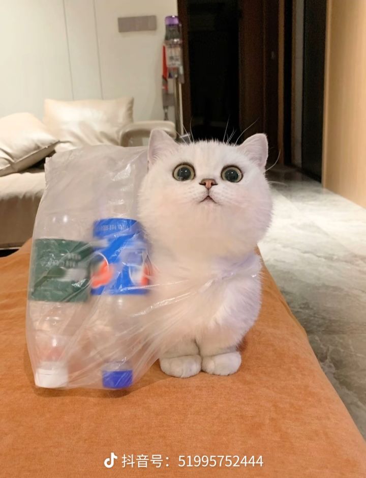 祝大家匹配到的玩家都是手动挡哦截图