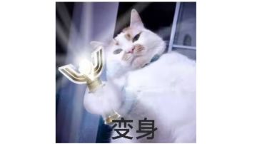 全新版本: 灰雾禁区