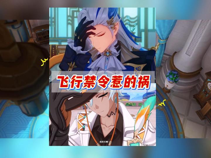 都是飞行禁令惹得祸截图
