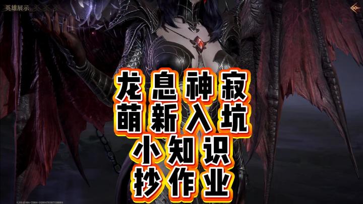 龙息神寂-萌新入坑小知识之抄作业截图