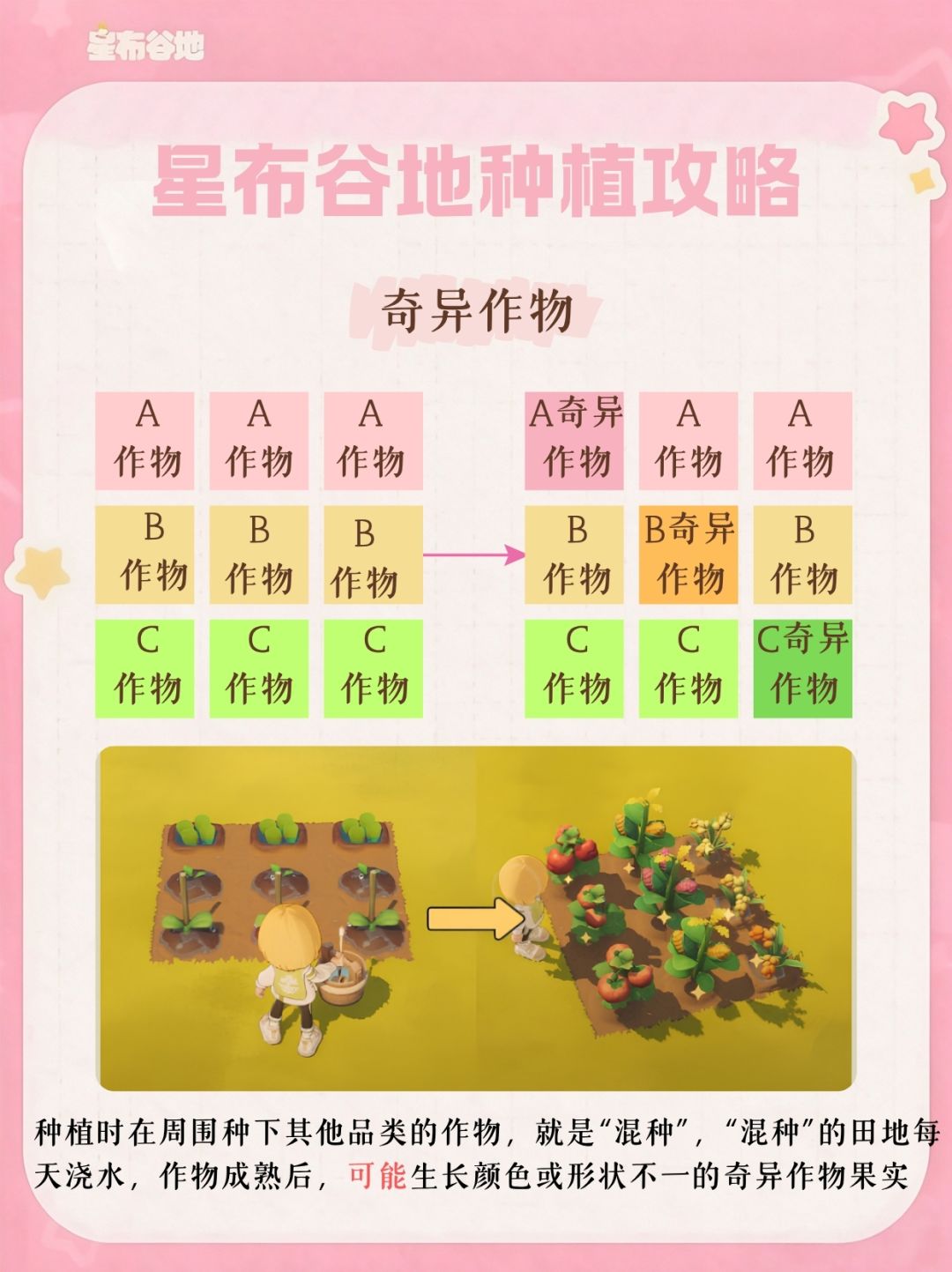 星布谷地特殊作物及异色花种植攻略 2