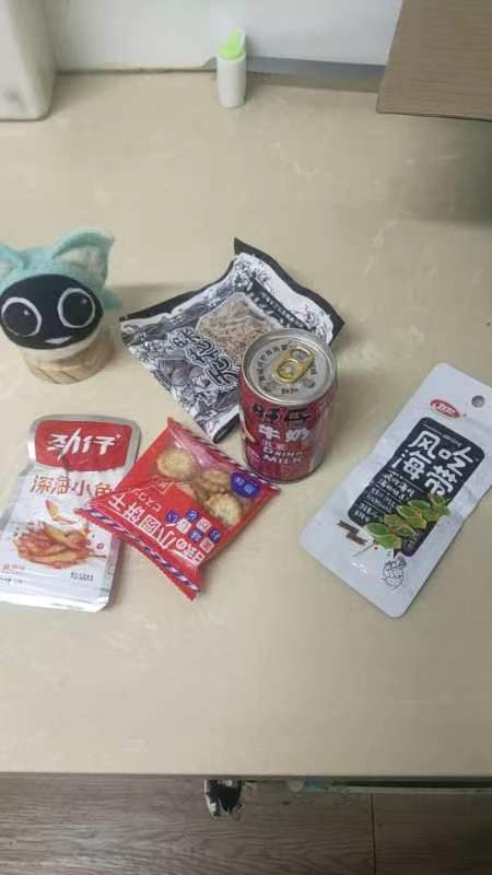 托拉姆物语截图