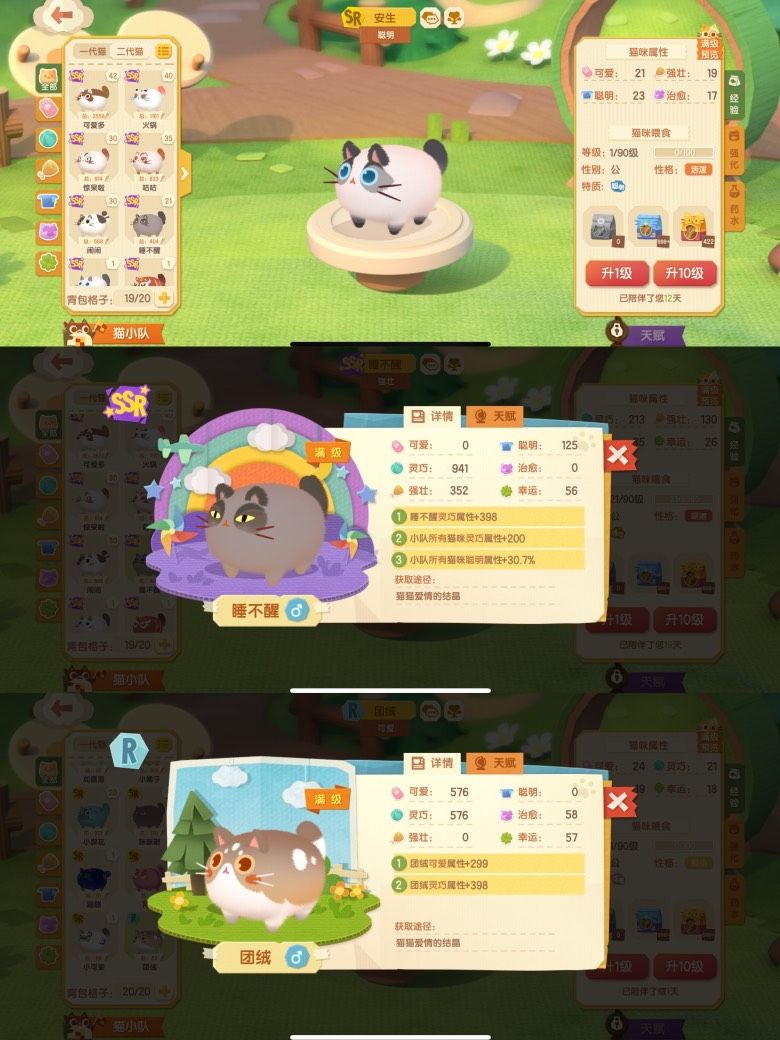 动态图片 8