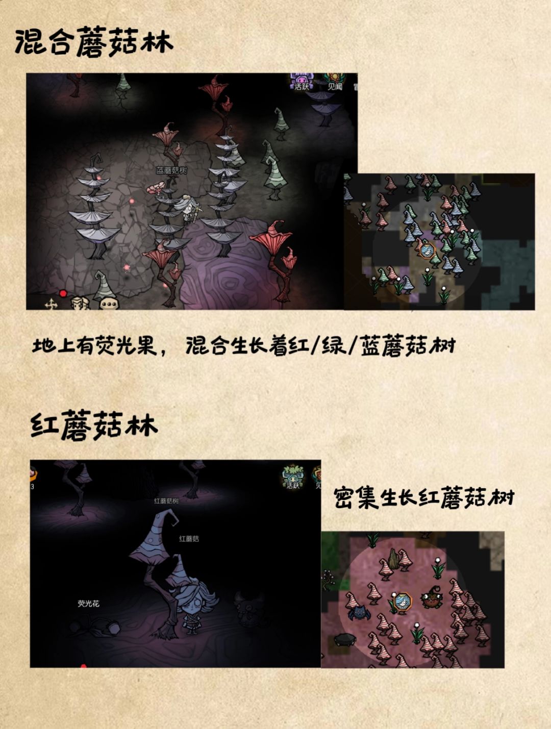 新手洞穴攻略(上) 4