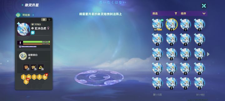 这两个白虎哪个金印记更好，伤害上限更高截图