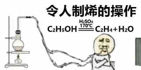 金元宝哈哈哈哈哈 4