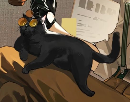 洞明和猫的眼镜一样欸 2