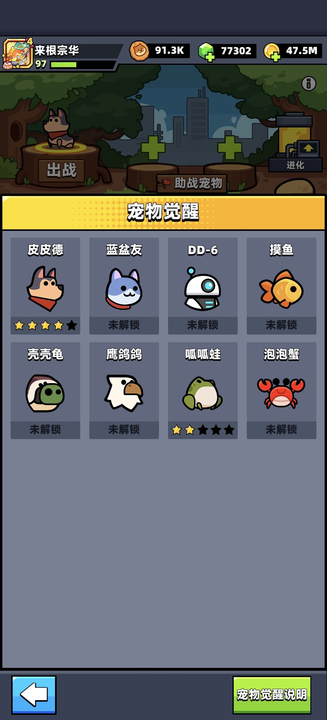 宠物 1