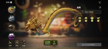 金龙，冰龙，老鹰测评。