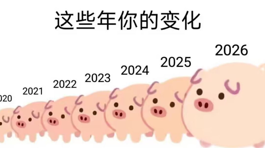 图49汇总截图