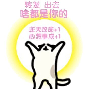 肉肉周报2.0——水水念第十二期·just日常闲聊