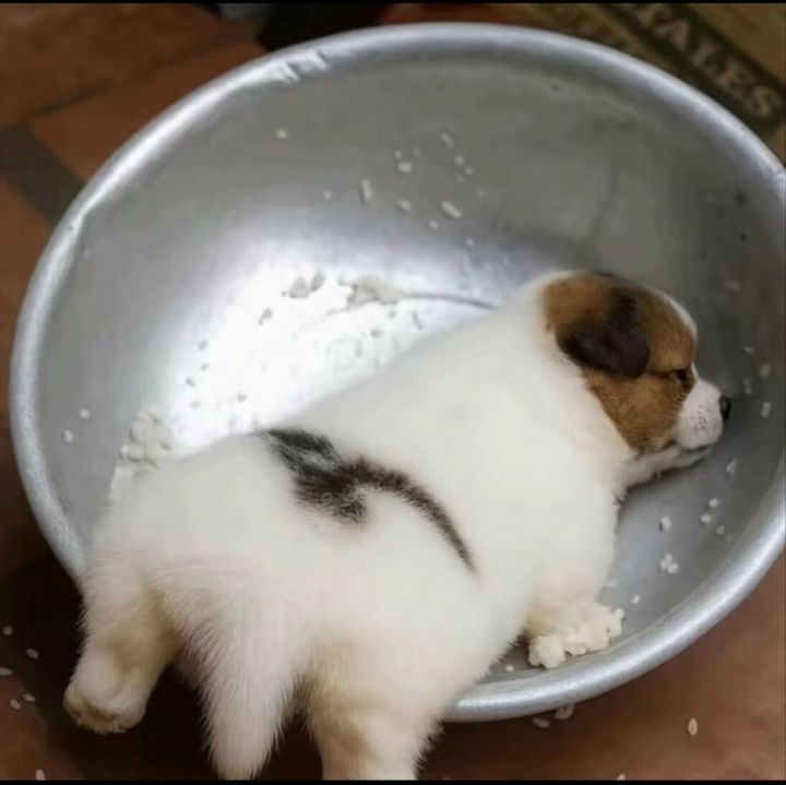 我发现了一个问题截图
