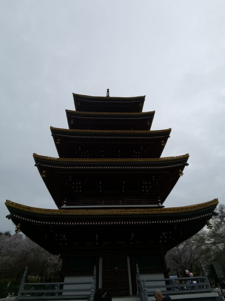 暑期生活分享第三天截图